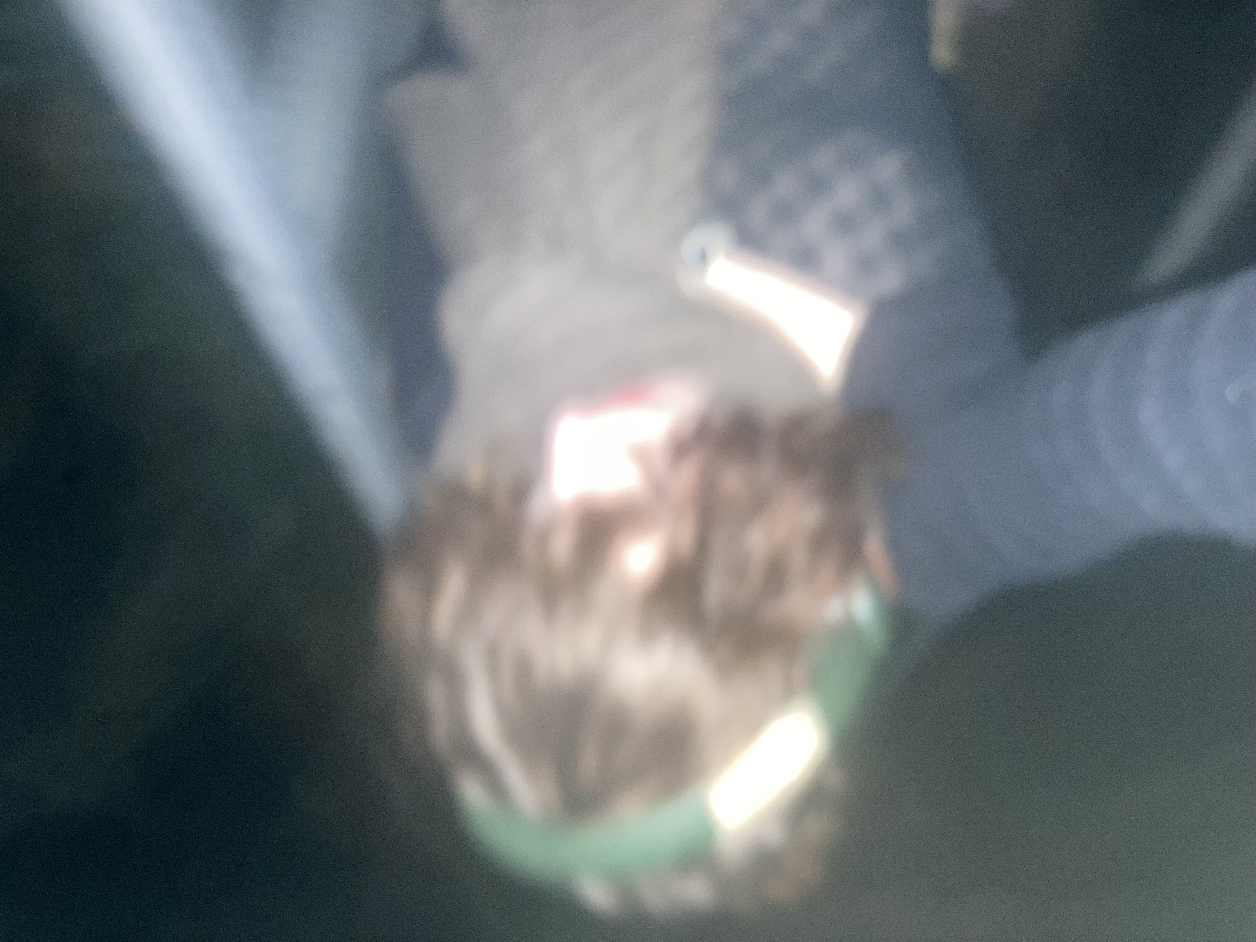 banner image