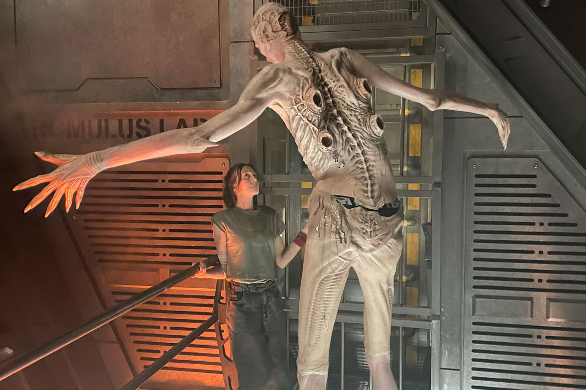 banner image