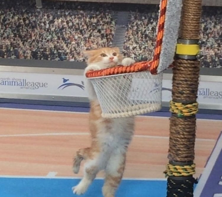 banner image