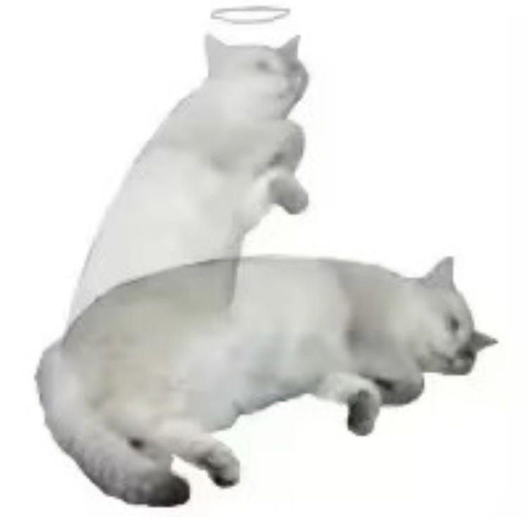 banner image