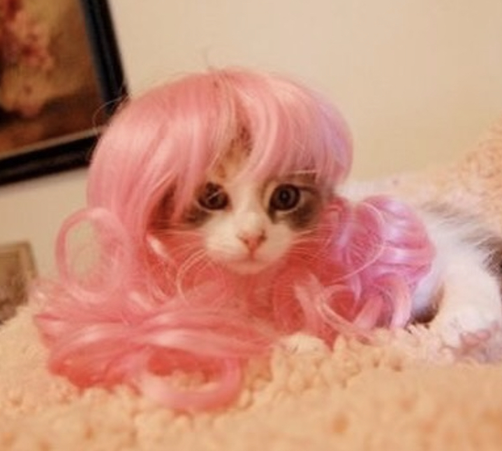 banner image