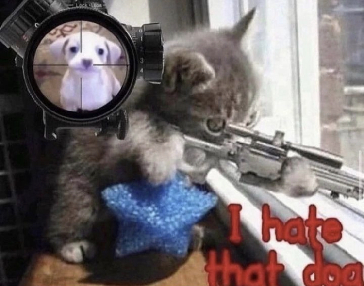 banner image
